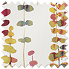 Santa Maria, Salsa - Roller Blind